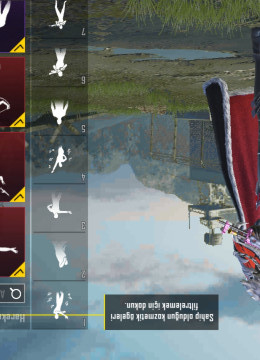 Hesab özümün dür 17 ədəd destansı var hesabda,460 uc var