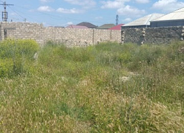 Torpaq sahəsi hasarlanmış və tikinti üçün hazırdır. Ərazi