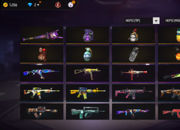 Elave bilgiler wpdan verirem