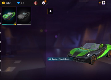 Elave bilgiler wpdan verirem