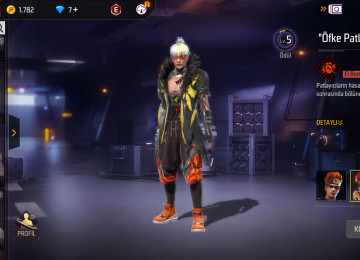 Elave bilgiler wpdan verirem