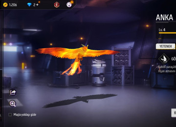 Elave bilgiler wpdan verirem