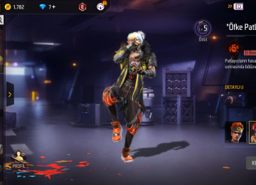 Elave bilgiler wpdan verirem