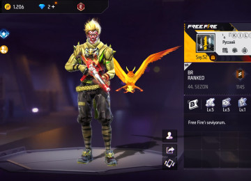 Elave bilgiler wpdan verirem