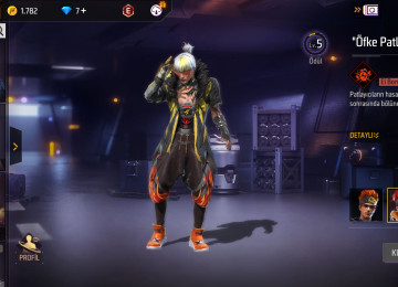 Elave bilgiler wpdan verirem