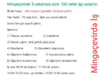 TƏCİLİ İŞÇİ AXTARILIR Mingəçevirdə 9 vakansiya üzrə 100