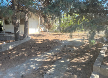 Çxarşldı 18 sotdu