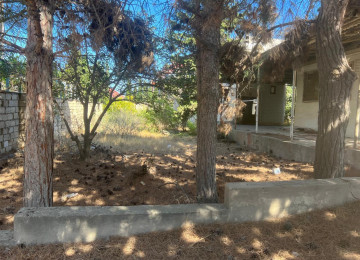 Çxarşldı 18 sotdu