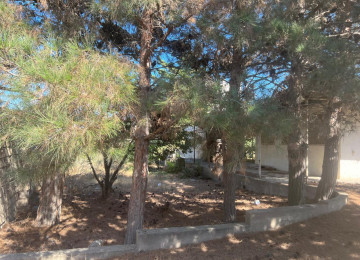 Çxarşldı 18 sotdu