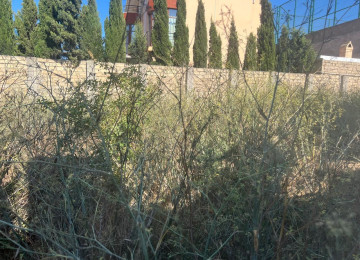 Çxarşldı 18 sotdu