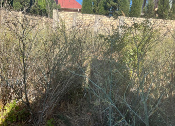 Çxarşldı 18 sotdu