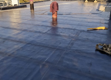 Yüksək ixtisaslı dam örtüyü ustası tol və rubroidlə ev,