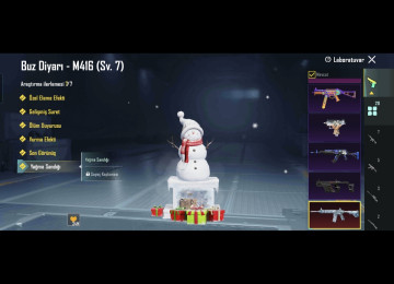 80 səviyə old hesab full doludu M416-Buz 7 var M4 yakan