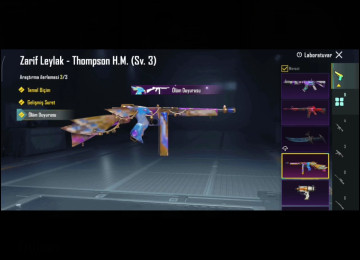 4 sv buz 3sv MG 3Sv thamson 2sv uzi 1 sv MK14 1sv M16A4 1sv