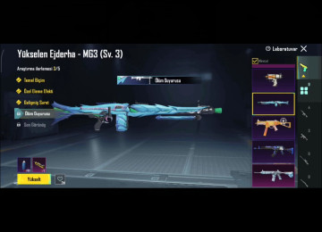 4 sv buz 3sv MG 3Sv thamson 2sv uzi 1 sv MK14 1sv M16A4 1sv