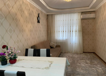 Elani tam oxuyun zeng edin zehmet olmasa fikri ciddi