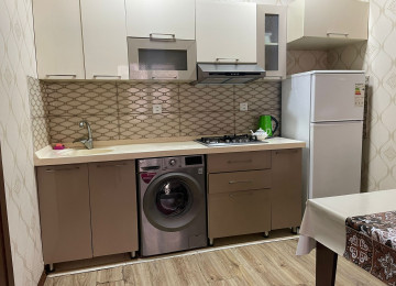 Elani tam oxuyun zeng edin zehmet olmasa fikri ciddi