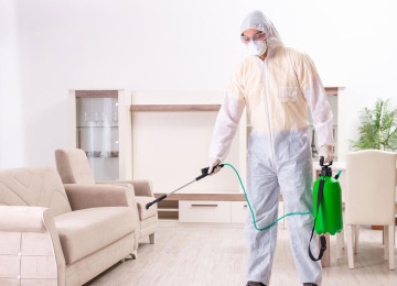 DEZİNFEKSİYA, DEZİNSEKSİYA VƏ DERATİZASİYA XƏTMƏDLƏRİ BÖYÜK