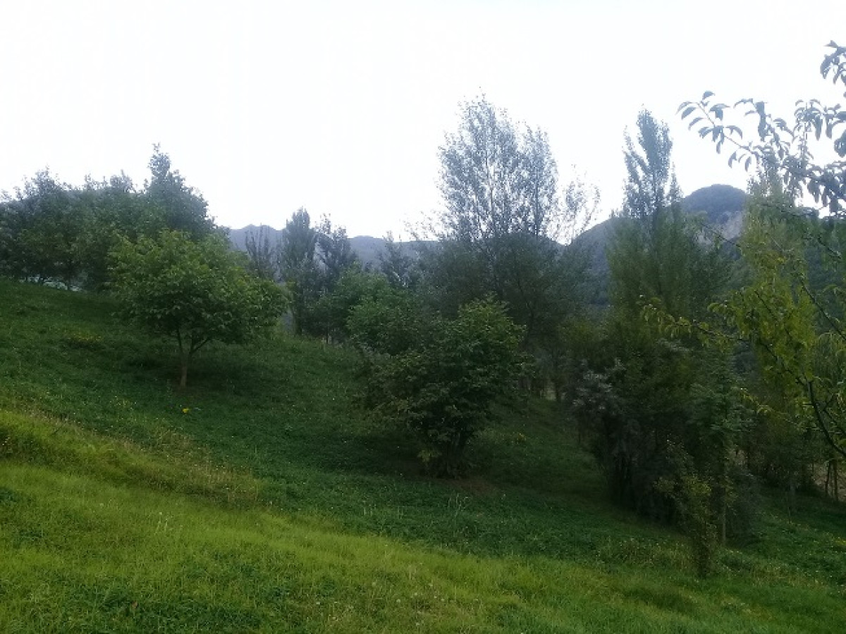 Lahıc İsmayıllıda kupçalı torpaq satılır İndi alın, bazara görə qiymət qalxacaq! Lahıcda (İsmayıllı