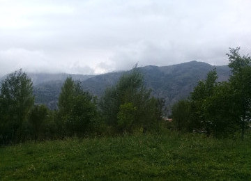 İndi alın, bazara uyğun qiymət qalxacaq. Lahıcda (İsmayıllı