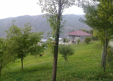 İndi alın, bazara uyğun qiymət qalxacaq. Lahıcda (İsmayıllı