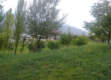 İndi alın, bazara görə qiymət qalxacaq! Lahıcda (İsmayıllı