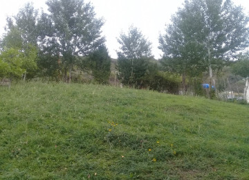 İndi alın, bazara görə qiymət qalxacaq! Lahıcda (İsmayıllı