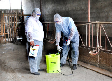 DEZİNFEKSİYA, DEZİNSEKSİYA VƏ DERATİZASİYA XƏTMƏDLƏRİ BÖYÜK