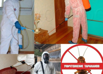 DEZİNFEKSİYA, DEZİNSEKSİYA VƏ DERATİZASİYA XƏTMƏDLƏRİ BÖYÜK