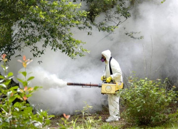 DEZİNFEKSİYA, DEZİNSEKSİYA VƏ DERATİZASİYA XƏTMƏDLƏRİ BÖYÜK