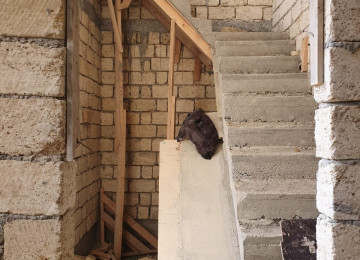 Serfeli qiymete Kreditle ilkin odenis 29 min AZN odemekle