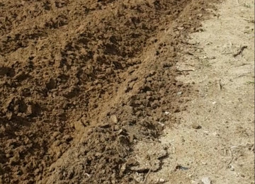 Nardaran bağları FHN yanı dənizə çox yaxın yerdə Nardaran bağlarında torpag sahəsi satılır FHN yanında 25