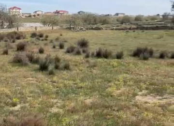 Nardaran bağları FHN yanı  dənizə çox yaxın yerdə Nardaran bağlarında torpag sahəsi satılır FHN yanında 25