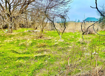 Nardaran bağlar massivində 13 sot sənədi çıxarış torpağ
