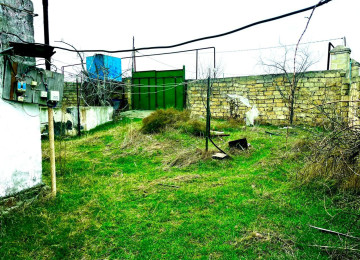 Nardaran bağlar massivində 13 sot sənədi çıxarış torpağ