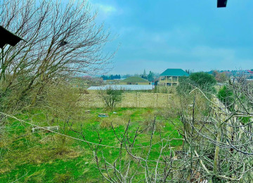 Nardaran bağlar massivində 13 sot sənədi çıxarış torpağ