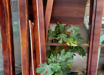 Ilk once salam ikinci el tam tenisinnen secilmeyen iki