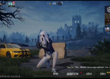 Tecili satilir guvence verilir nomre verilir perpeyser