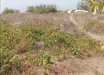 Nardaran, daş karxanasından aşagı, 15 ci dalan, Seabreezz