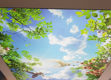 Tavanlar 3d oboy foto oboylarin istediyiniz shekilleri