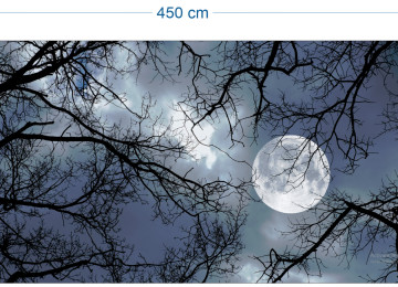 Tavanlar 3d oboy foto oboylarin istediyiniz shekilleri