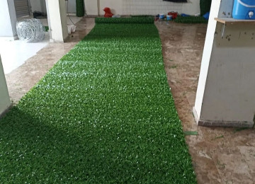 Yaşıl hasar -setka qazon. Türkiyədən idxal olunur,əla növ