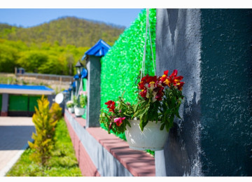 Yaşıl hasar -setka qazon. Türkiyədən idxal olunur,əla növ