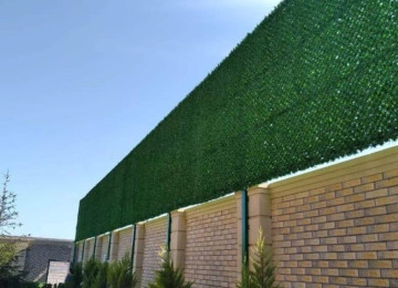 Yaşıl hasar -setka qazon. Türkiyədən idxal olunur,əla növ