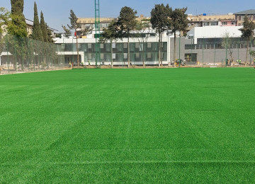 Süni qazon istehsalçı ölkəyə ,süni otun sıxlığına və