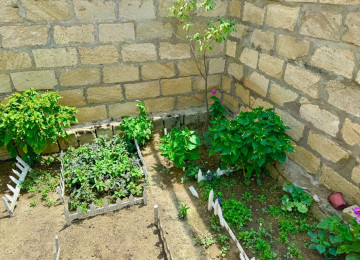 Xarice kocduyume gore tecili satiram . Wamaxinkaya 5