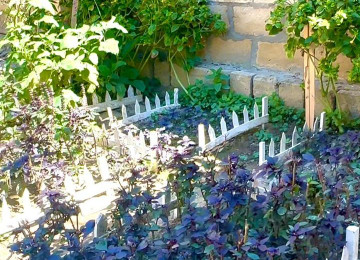 Xarice kocduyume gore tecili satiram . Wamaxinkaya 5