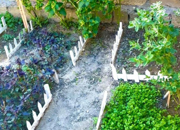 Xarice kocduyume gore tecili satiram . Wamaxinkaya 5