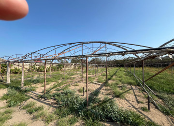 Təcli 38 sotdu hazır parnikdi sənədldi parnikin dəmirləri