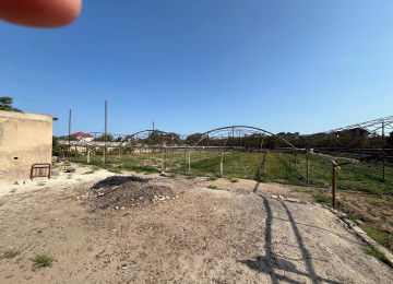 Təcli 38 sotdu hazır parnikdi sənədldi parnikin dəmirləri